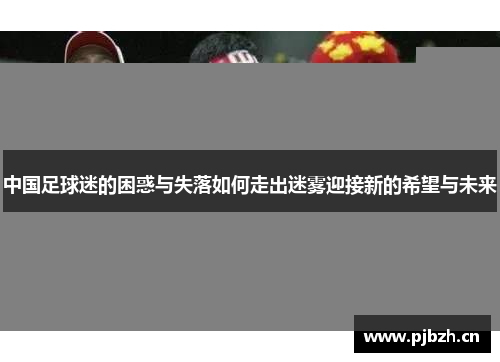 中国足球迷的困惑与失落如何走出迷雾迎接新的希望与未来